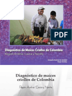 Región Cauca y Nariño_maiz.pdf