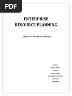 Enterprise Resource Planning: Sales and Marketing Module