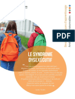 Syndrome Dysexecutif