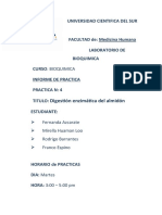 Informe 4