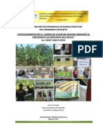 INFORME FINAL - Sistematización PC Banano 18 - 05 - 13