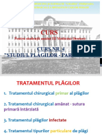 Studiul Plagilor - Partea 3