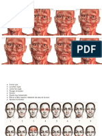 Masaje Paralisis Facial