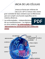 Importancia de las células y sus orgánulos clave