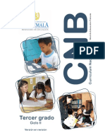 3o grado CNB Nivel de Educación Primaria (1).pdf