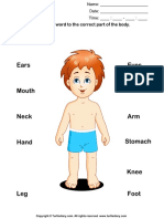 Body Parts For Kids PDF