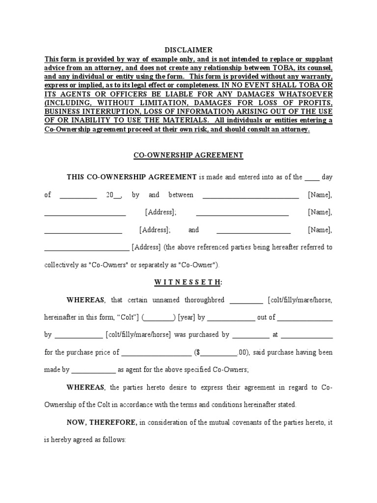 Co Ownership Agreement | PDF | Concurrent Estate | Mare