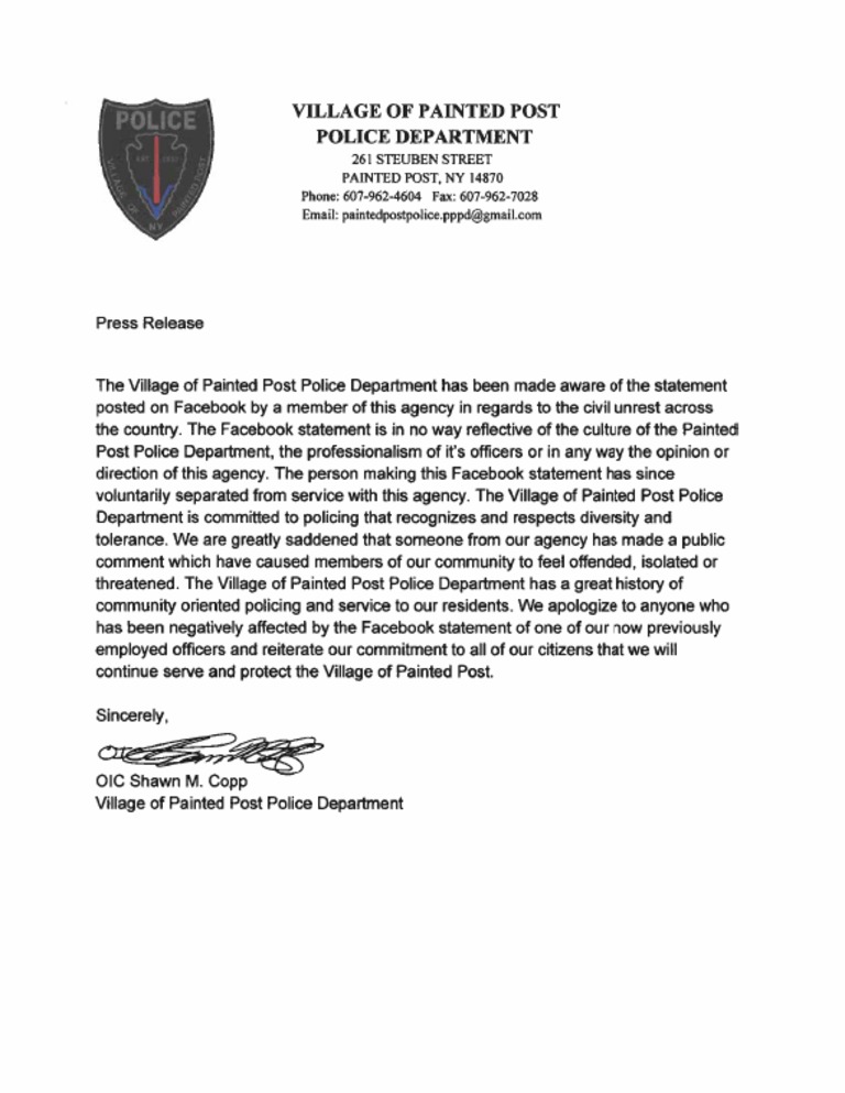 Painted Post Police Department PDF