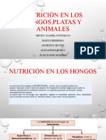 Nutricion en Los Hongos, Plantas y Animales