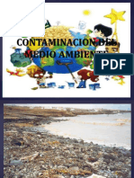 Contaminacion Del Medio Ambiente