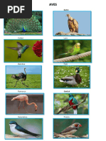 Animales que vuelan, nadan y caminan | PDF