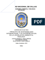 Principio de Sostenibilidad Internacional y Su Interpretacion en La Legislacion Ambiental Peruana