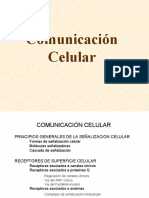 09comunicacion celular.ppt