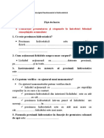 Presiunea Hidrostatică Fișă de Lucru - Întrebări