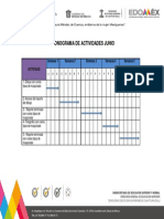 Cronograma de Actividades