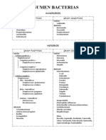 Resumen Bacterias