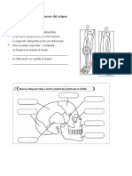 ciencias del cuerpo Valentino.docx