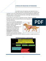 Antiparasitarios en Medicina Veterinaria