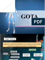 GOTA-Y-ATR.-POR.pptx