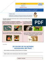 Animales amenazados del Perú y medidas de protección