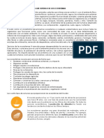 Bloque 5 Ecologia PDF