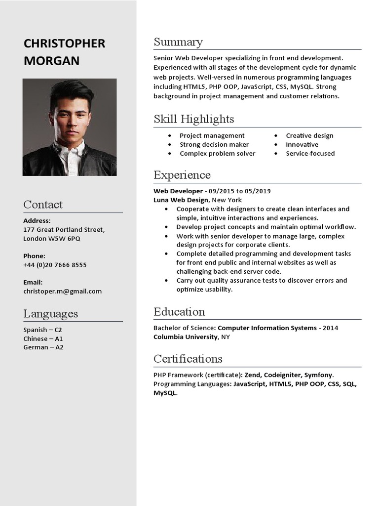 Senior Web Developer Profile | PDF