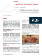 caracteristicas_y_manejo_del_lecho_de_las_heridas_cronicas.pdf