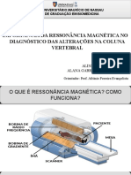 25  SLIDES-Aline e Alana Biomedicina (2)