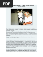 O significado da vida 9.pdf