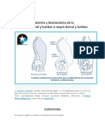 Anatomía y Biomecánica de La Columna Vertebral