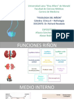 Fisiologia Renal