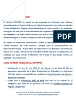 Que es el COPASO-normas.pdf