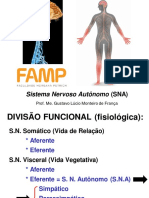 Sistema Nervoso Autônomo (SNA)