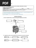 Guía Sistema Digestivo 2020