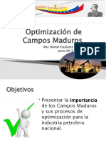 Optimización-de-Campos-Maduros-S.-Escalante.pptx