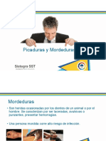 Picadurasy Mordeduras Mordedurasypicaduras