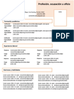 cv24.docx