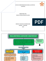 Mapa Conceptual Hidroterapia PDF