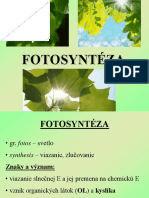 Fotosyntéza 2020