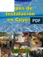 TIPOS DE INSTALACION DE CUYES Por: JENNER BLACIDO YAURI