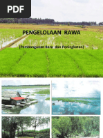 D7e03 BT Pengelolaan Rawa-1 PDF