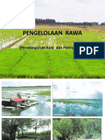 d7e03_BT_Pengelolaan_Rawa-1.pdf