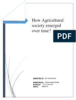How Agricultural Society Emerged Over Time?