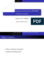Statistical Consulting and Practices (APS6002)