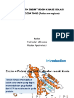 Tirosin Kinase PDF