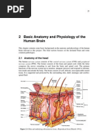 Download basic brain anatomy and physiologypdf by Senthilkumar Thiyagarajan SN46419168 doc pdf