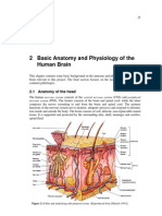 basic brain anatomy and physiology.pdf