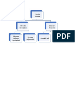 Organigrama Firmei Model Vertical