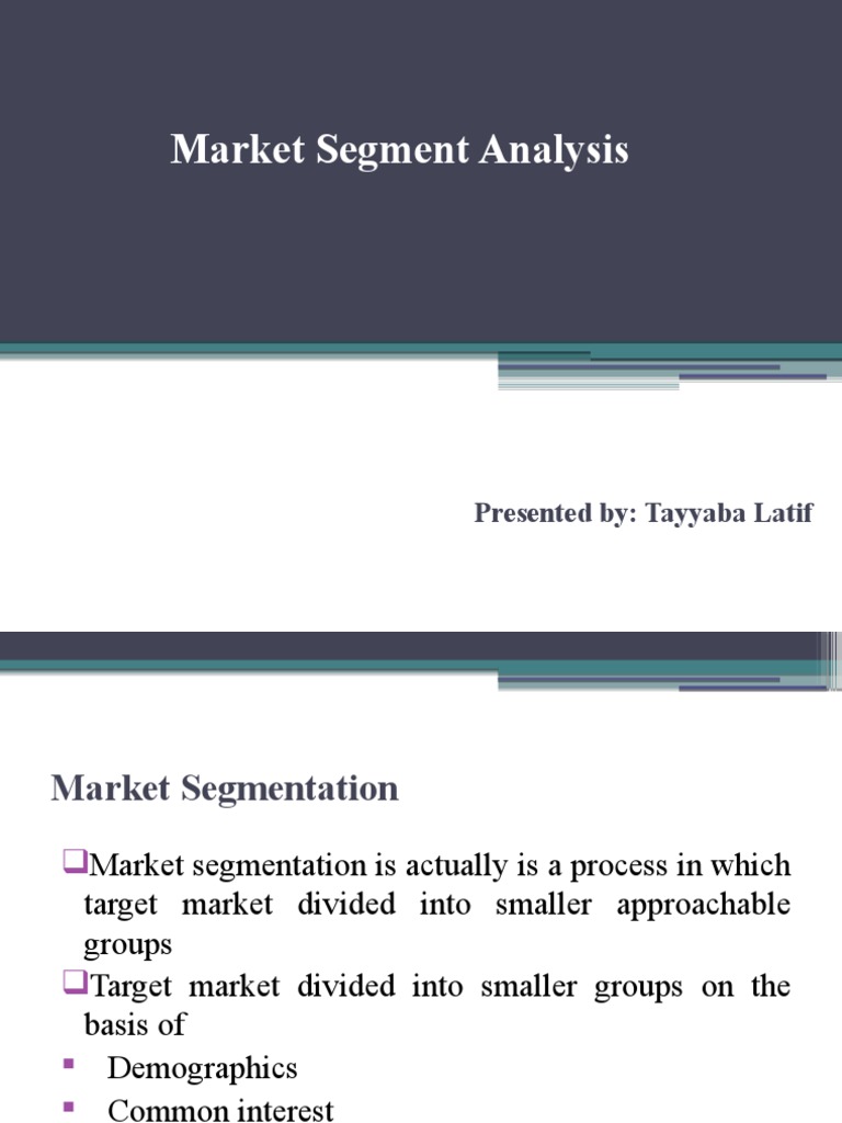 Market Segmentation Guide | PDF | Market Segmentation | Marketing
