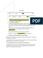 Pancreas: estructura, función y patologías